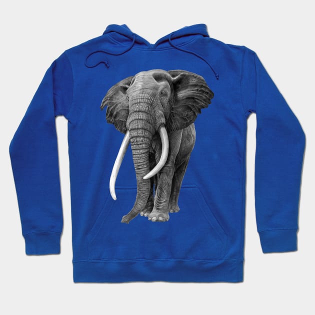 Bull elephant - Drawing in pencil Hoodie by seanfleming